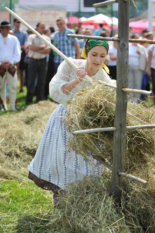Wybory Nośwarniyjsyj Górolecki 2013