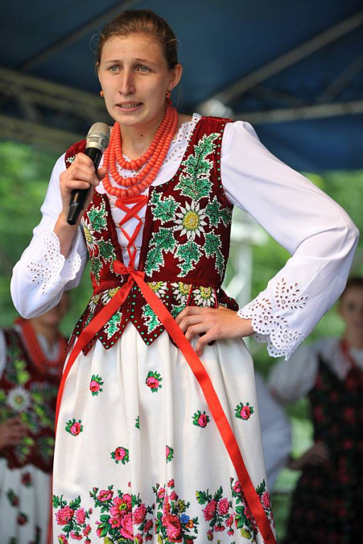Wybory Nośwarniyjsyj Górolecki 2013