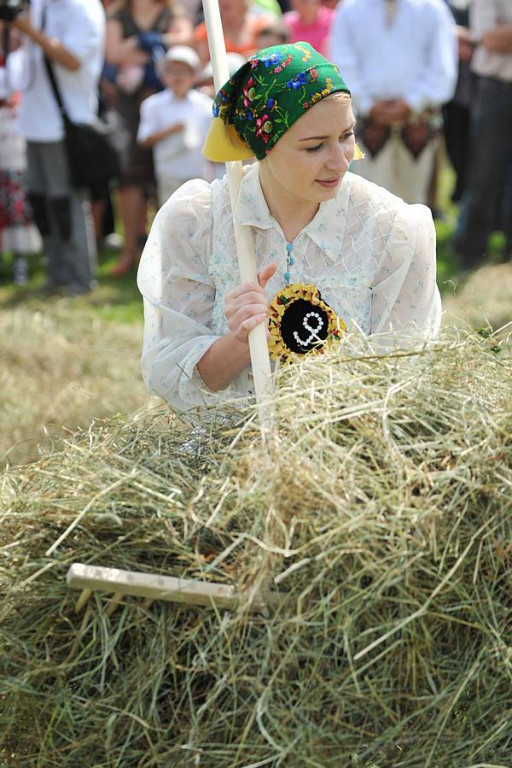 Wybory Nośwarniyjsyj Górolecki 2013