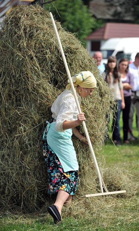 Wybory Nośwarniyjsyj Górolecki 2013