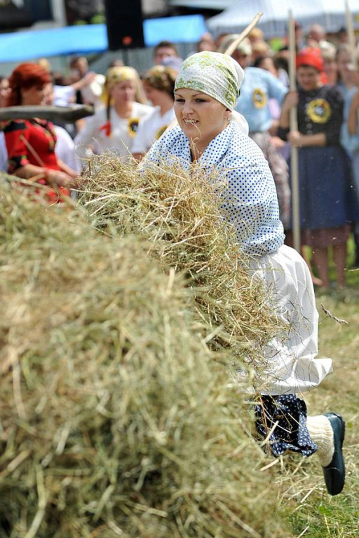 Wybory Nośwarniyjsyj Górolecki 2013