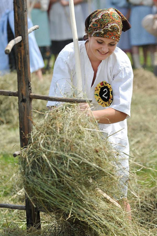 Wybory Nośwarniyjsyj Górolecki 2013