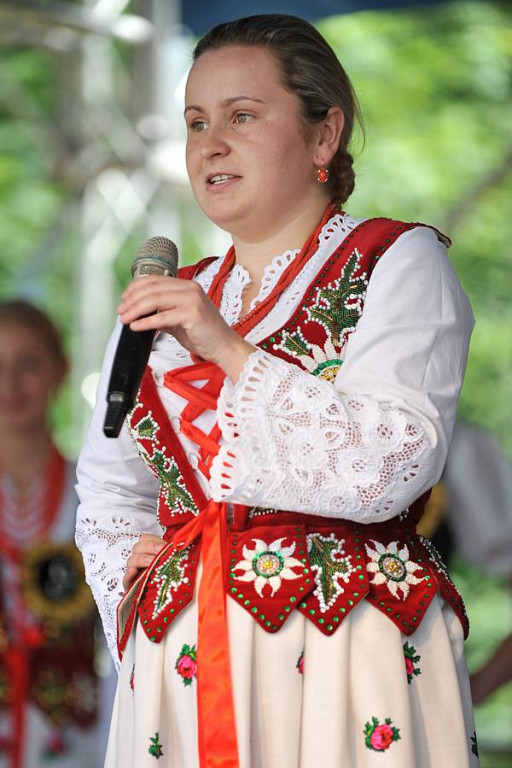 Wybory Nośwarniyjsyj Górolecki 2013