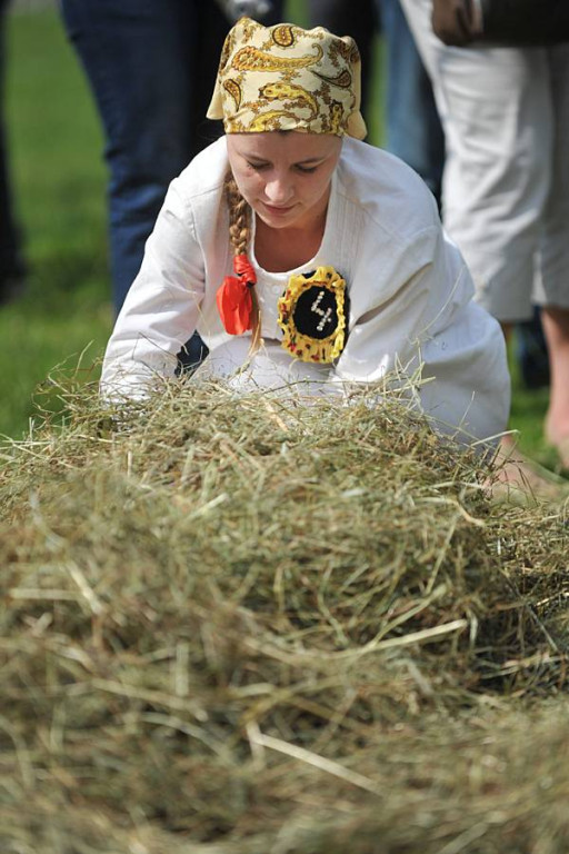 Wybory Nośwarniyjsyj Górolecki 2013