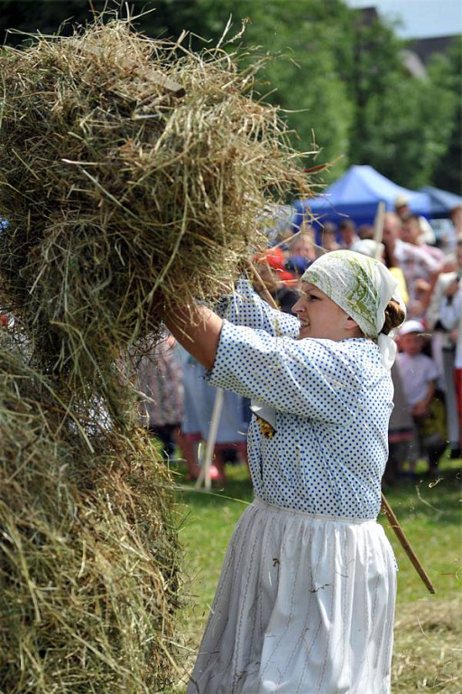 Wybory Nośwarniyjsyj Górolecki 2013