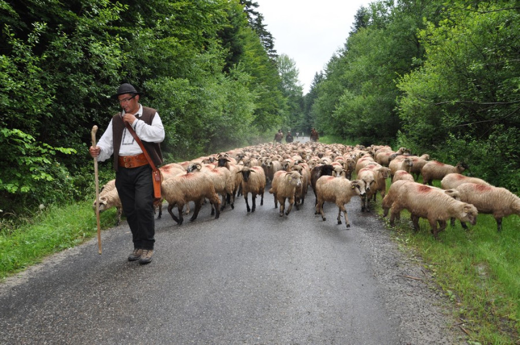 Podhalańscy górale u Łemków
