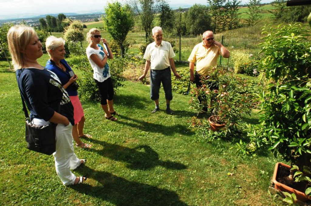 Nowy Targ: Druga ocena ogródków