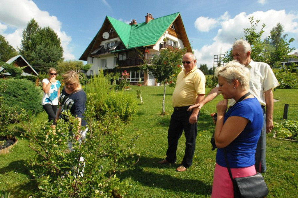 Nowy Targ: Druga ocena ogródków