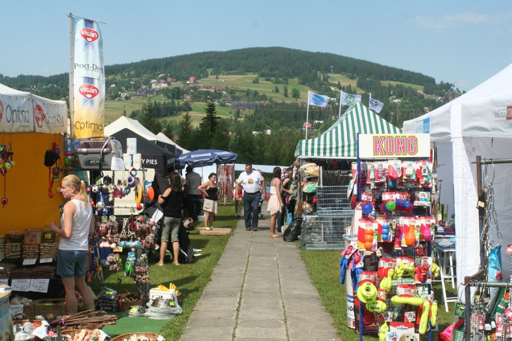 Czempiony w Kirach