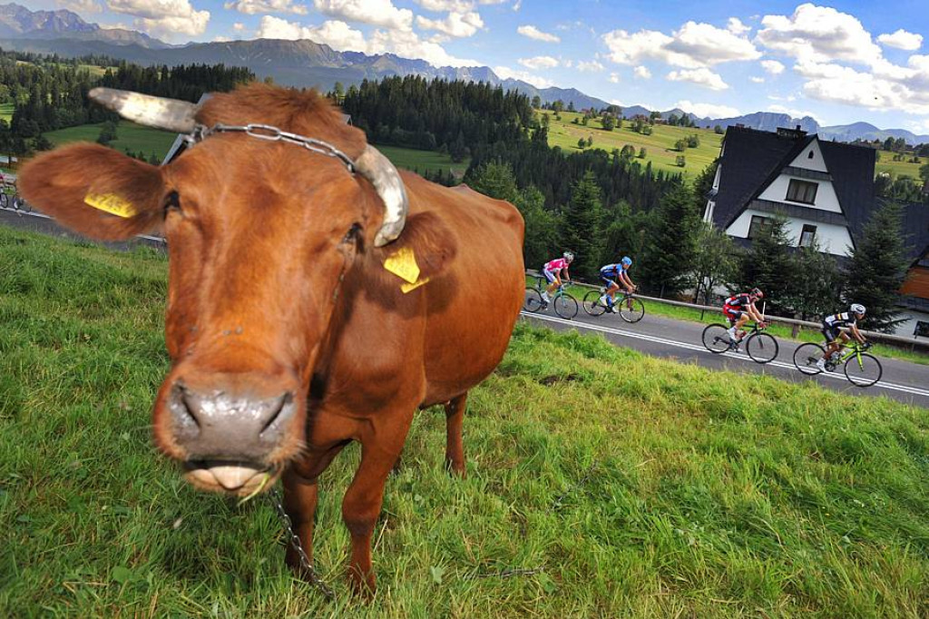 Tour de Pologne 2013 etapy V i VI