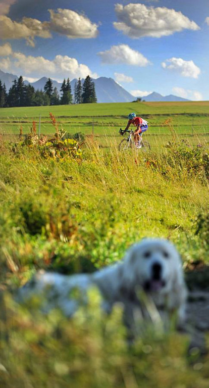 Tour de Pologne 2013 etapy V i VI