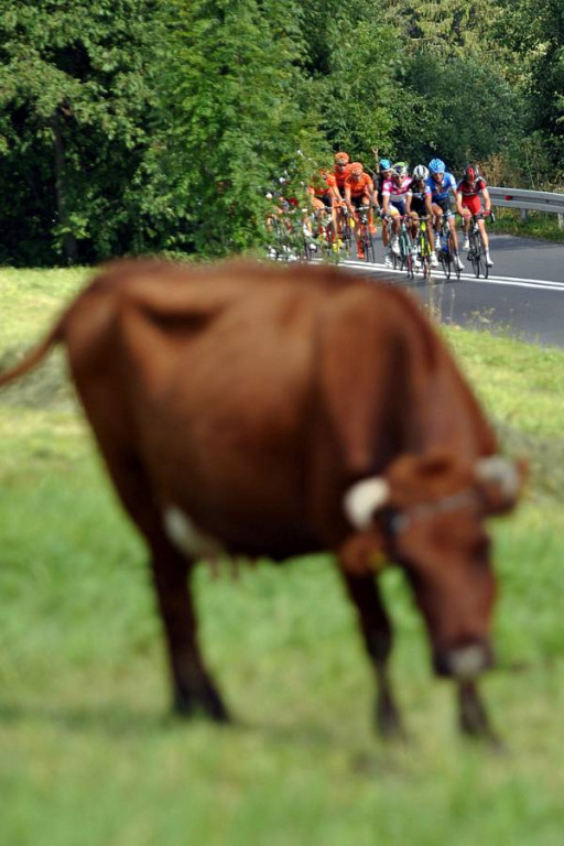 Tour de Pologne 2013 etapy V i VI