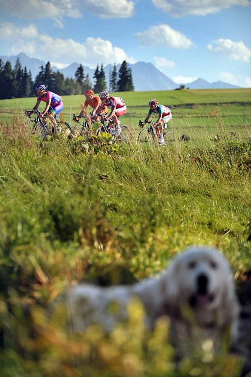 Tour de Pologne 2013 etapy V i VI
