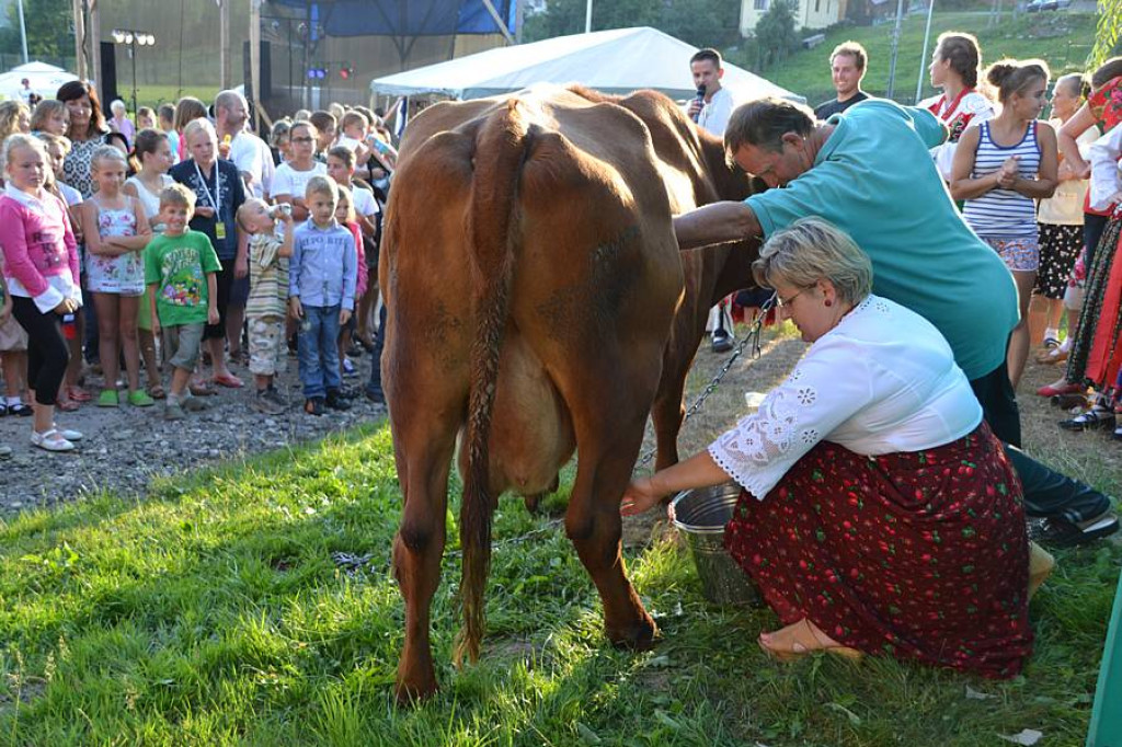 Pyzówka Folk Festiwal