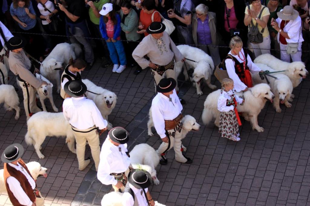 Barwny korowód na początek festiwalu