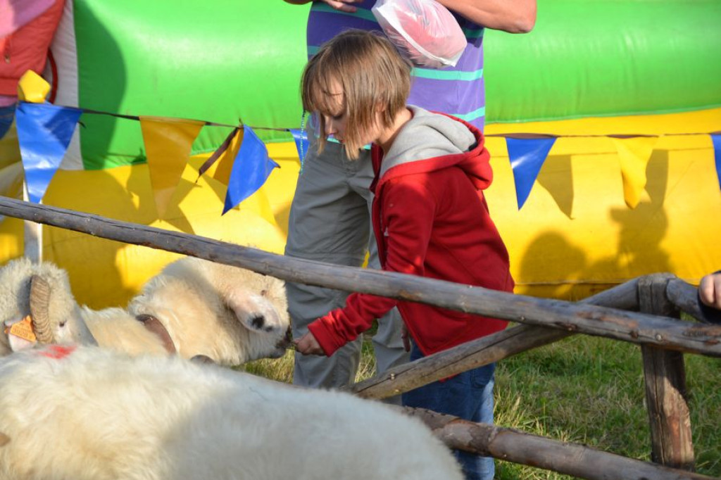 Białczańska Familiada 2013