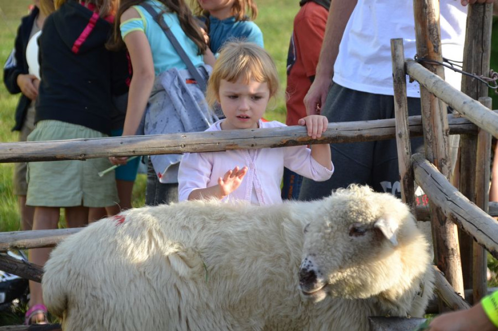 Białczańska Familiada 2013