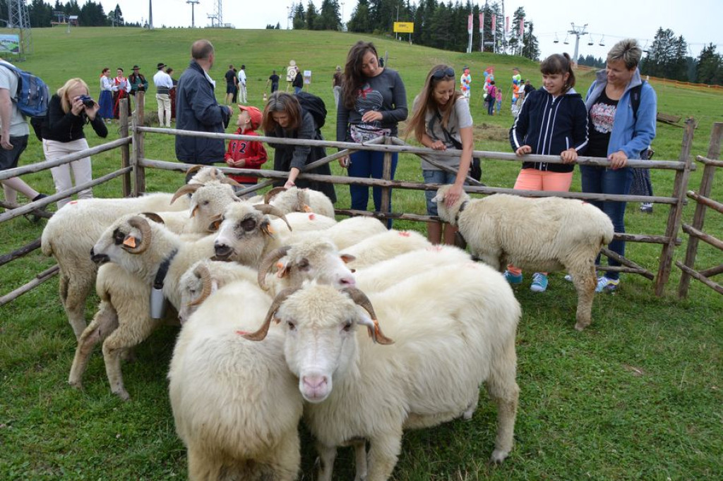 Białczańska Familiada 2013