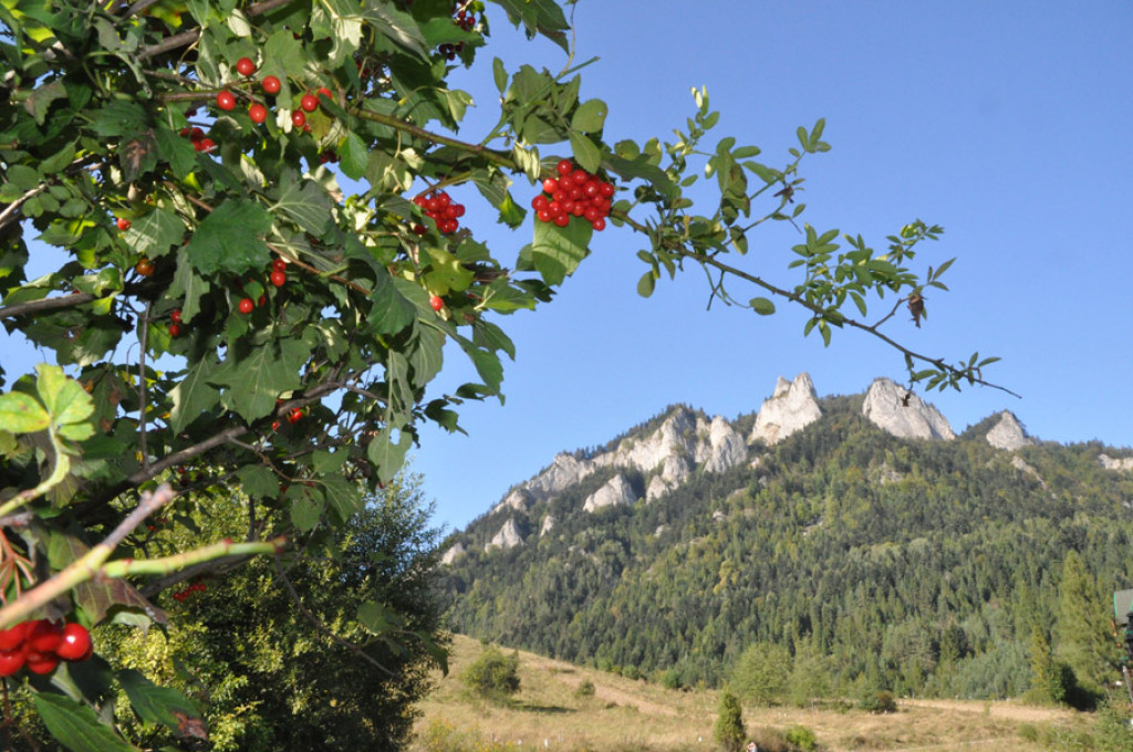 Pieniny jesienią są najpiękniejsze