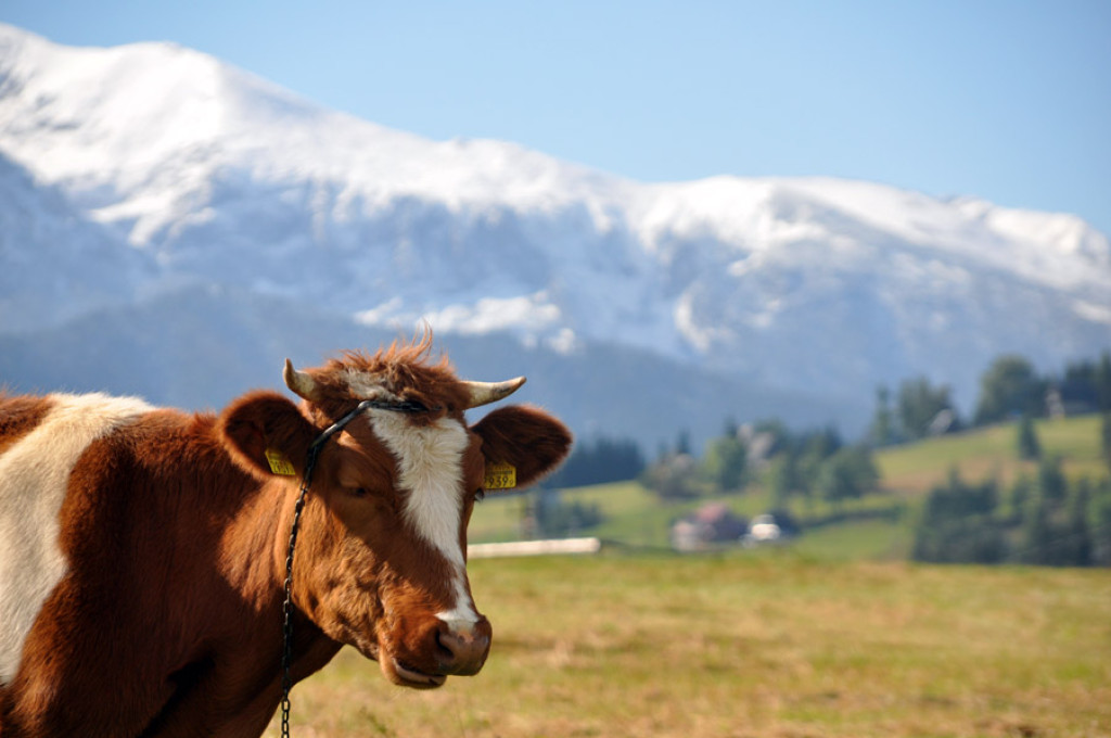 Tatry w jesienno-zimowej odsłonie