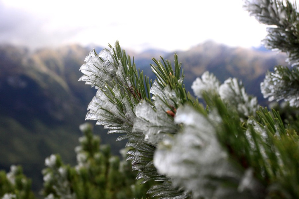 Jesienne Tatry, jesienny Ornak