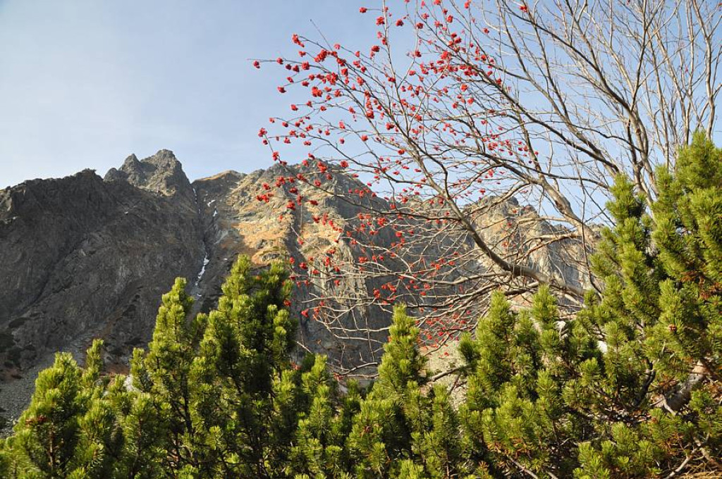 W drodze na Koprowy Wierch (2363 m n.p.m.)