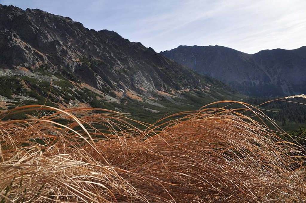 W drodze na Koprowy Wierch (2363 m n.p.m.)