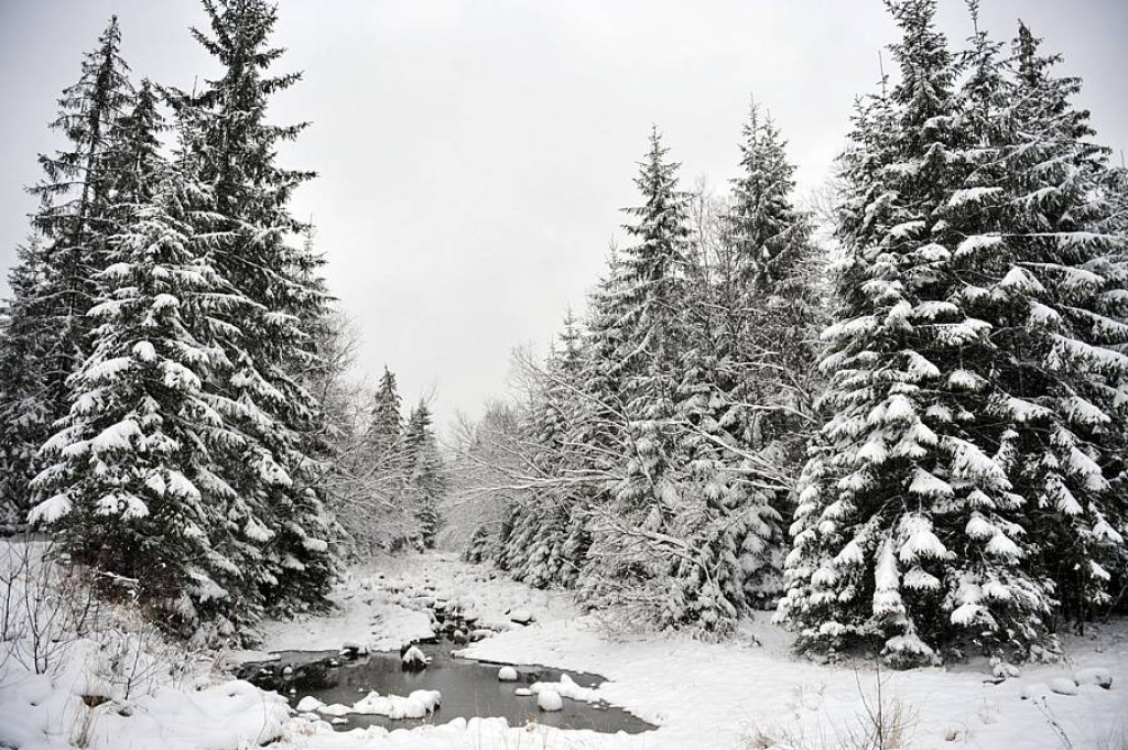Zima tuż tuż. Pierwszy śnieg już przyszedł
