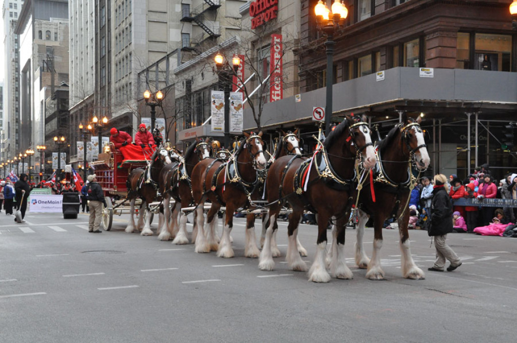 Chicago: Górale w Paradzie Dziękczynienia