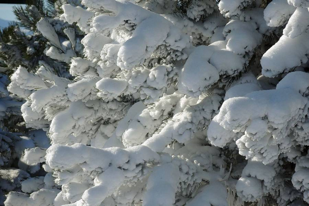 Niby jeszcze kalendarzowa jesień, choć jakoś już tak zimowo