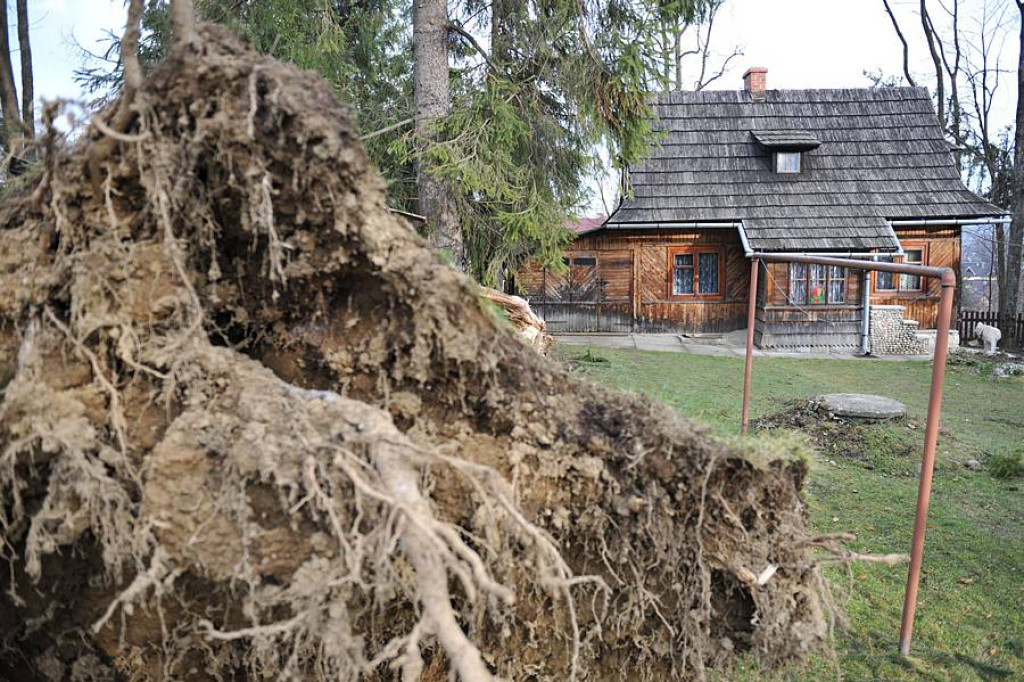Halny pod Giewontem. Trwa porządkowanie po wichurze