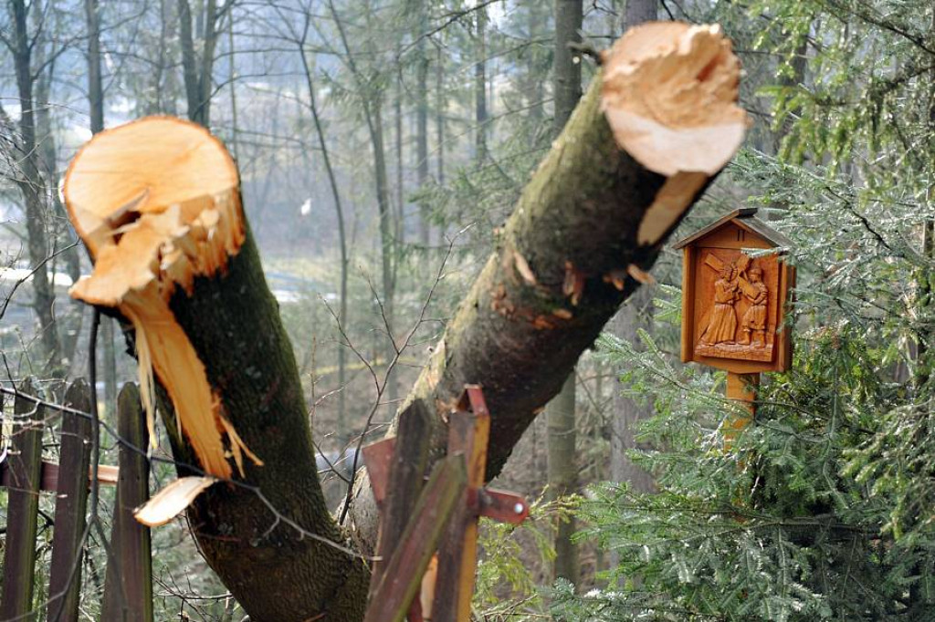 Halny pod Giewontem. Trwa porządkowanie po wichurze