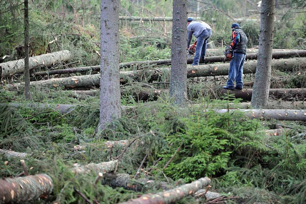 Halny pod Giewontem. Trwa porządkowanie po wichurze