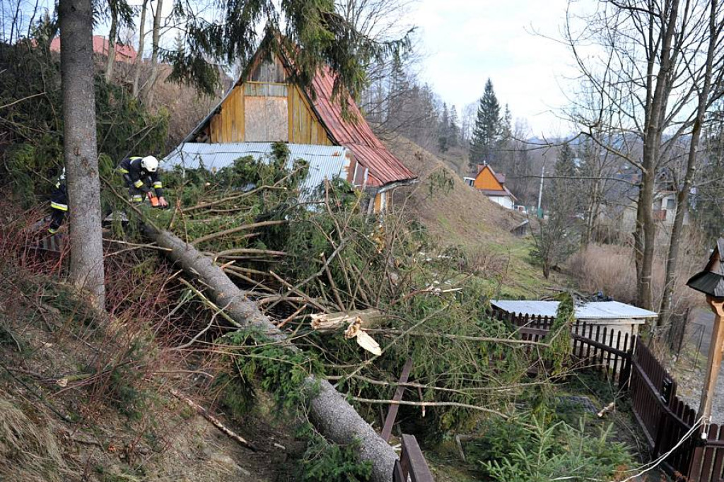 Halny pod Giewontem. Trwa porządkowanie po wichurze