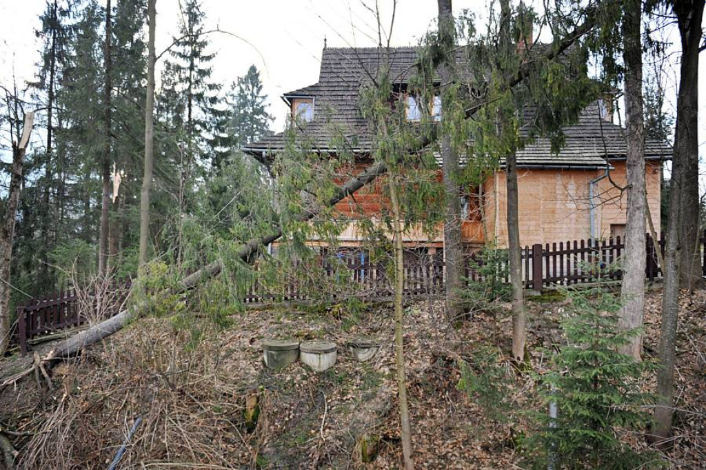 Halny pod Giewontem. Trwa porządkowanie po wichurze