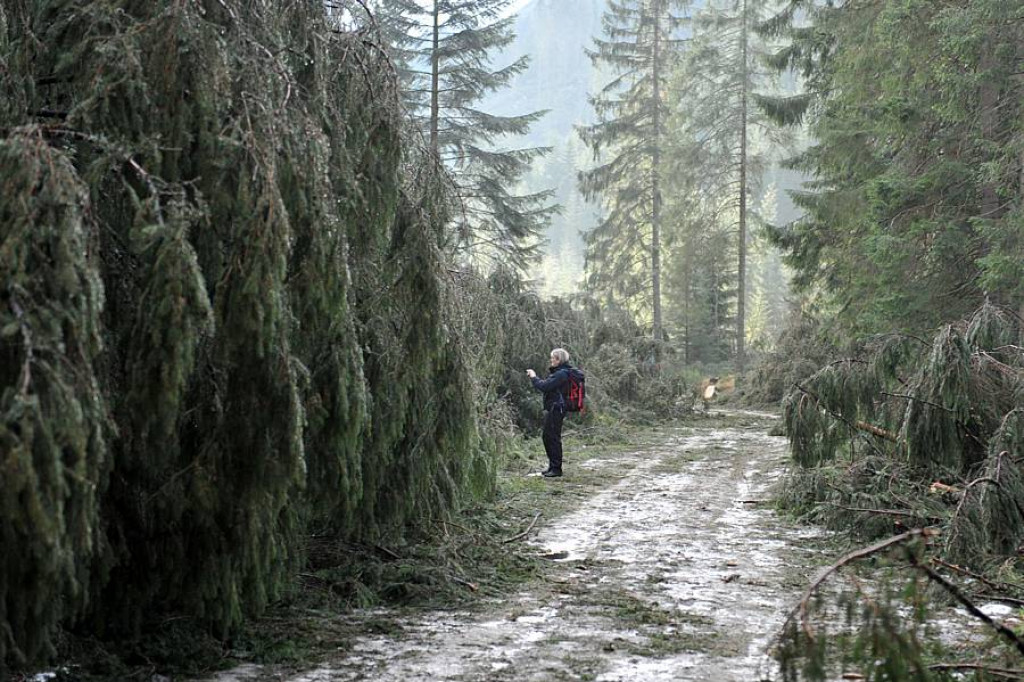 Halny pod Giewontem. Trwa porządkowanie po wichurze