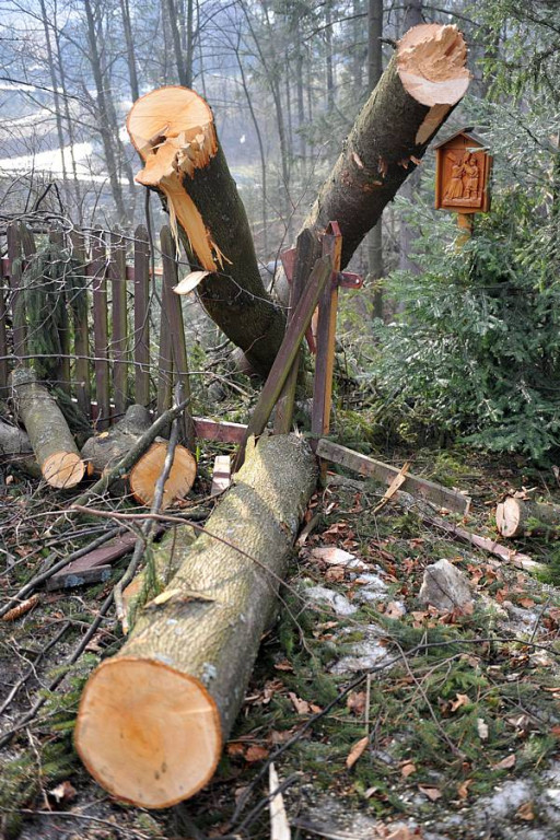 Halny pod Giewontem. Trwa porządkowanie po wichurze