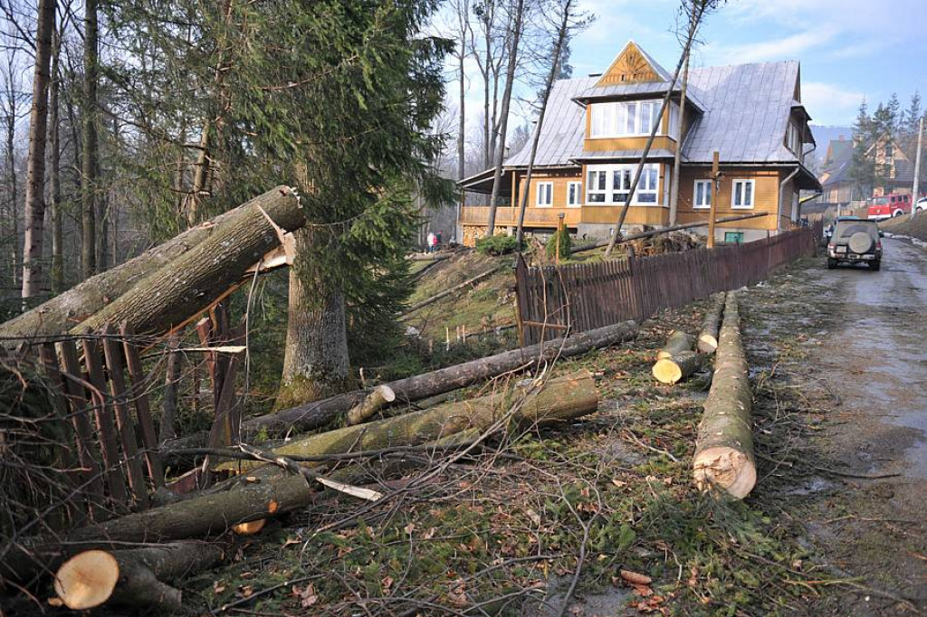 Halny pod Giewontem. Trwa porządkowanie po wichurze