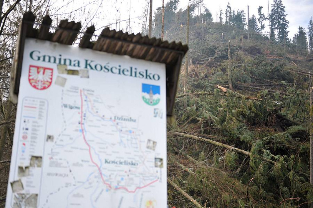 Halny pod Giewontem. Trwa porządkowanie po wichurze
