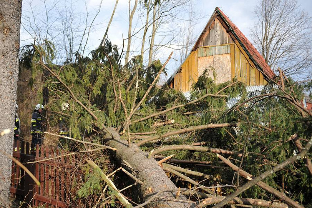 Halny pod Giewontem. Trwa porządkowanie po wichurze