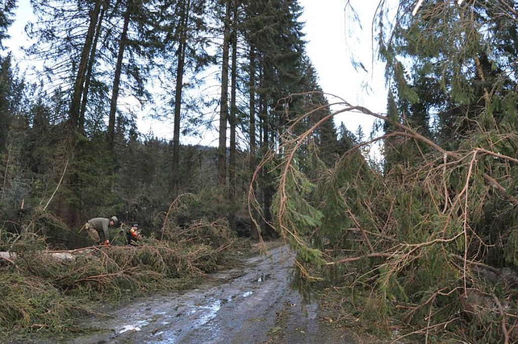 Dolina Chochołowska po przejściu halnego