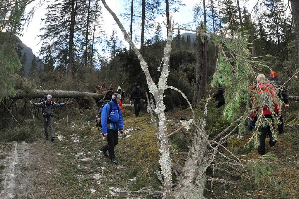 Dolina Chochołowska po przejściu halnego