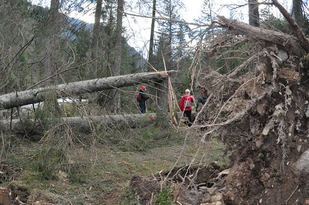 Dolina Chochołowska po przejściu halnego