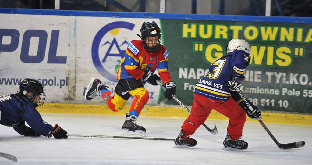 Turniej minihokeja dla zawodników rocznika 2004 i 2005
