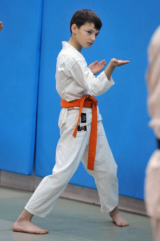 Karate: Trening z Shihan Tsutomu Wachiuki (6 DAN)