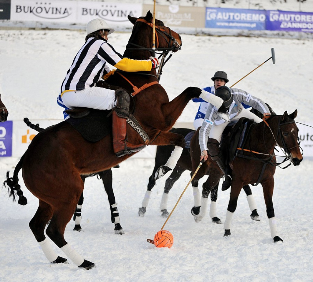 Polo Snow Masters 2014