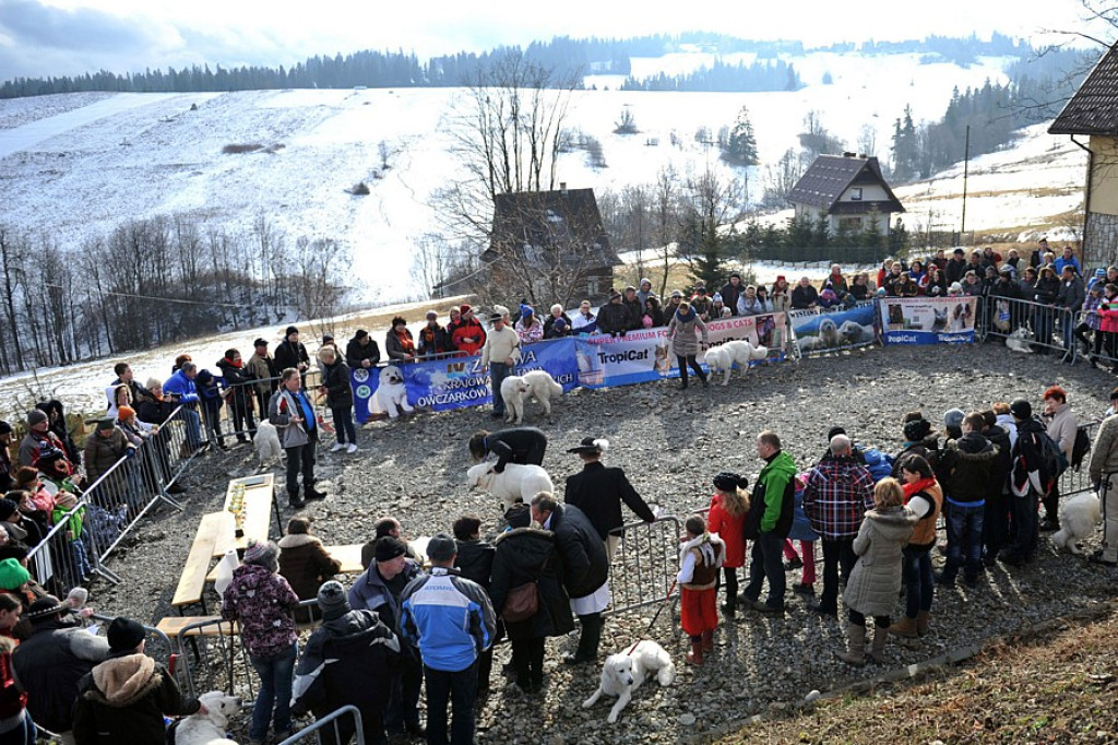 42. Karnawał Góralski w Bukowinie Tatrzańskiej