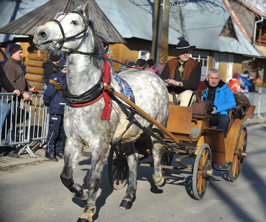 42. Karnawał Góralski w Bukowinie Tatrzańskiej