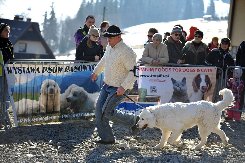 42. Karnawał Góralski w Bukowinie Tatrzańskiej