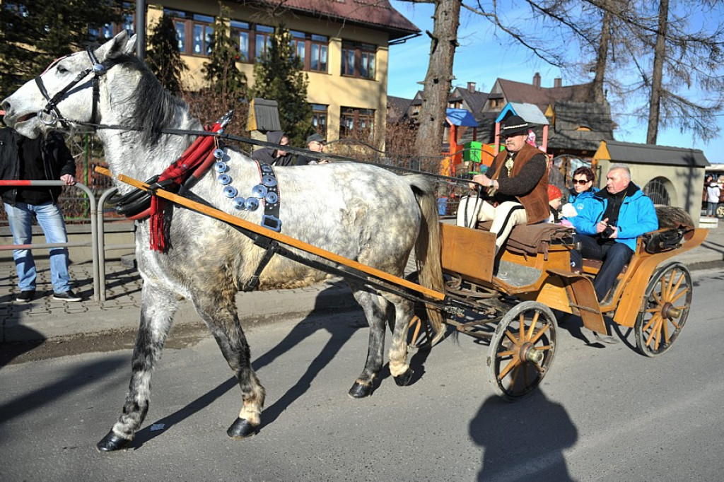 42. Karnawał Góralski w Bukowinie Tatrzańskiej